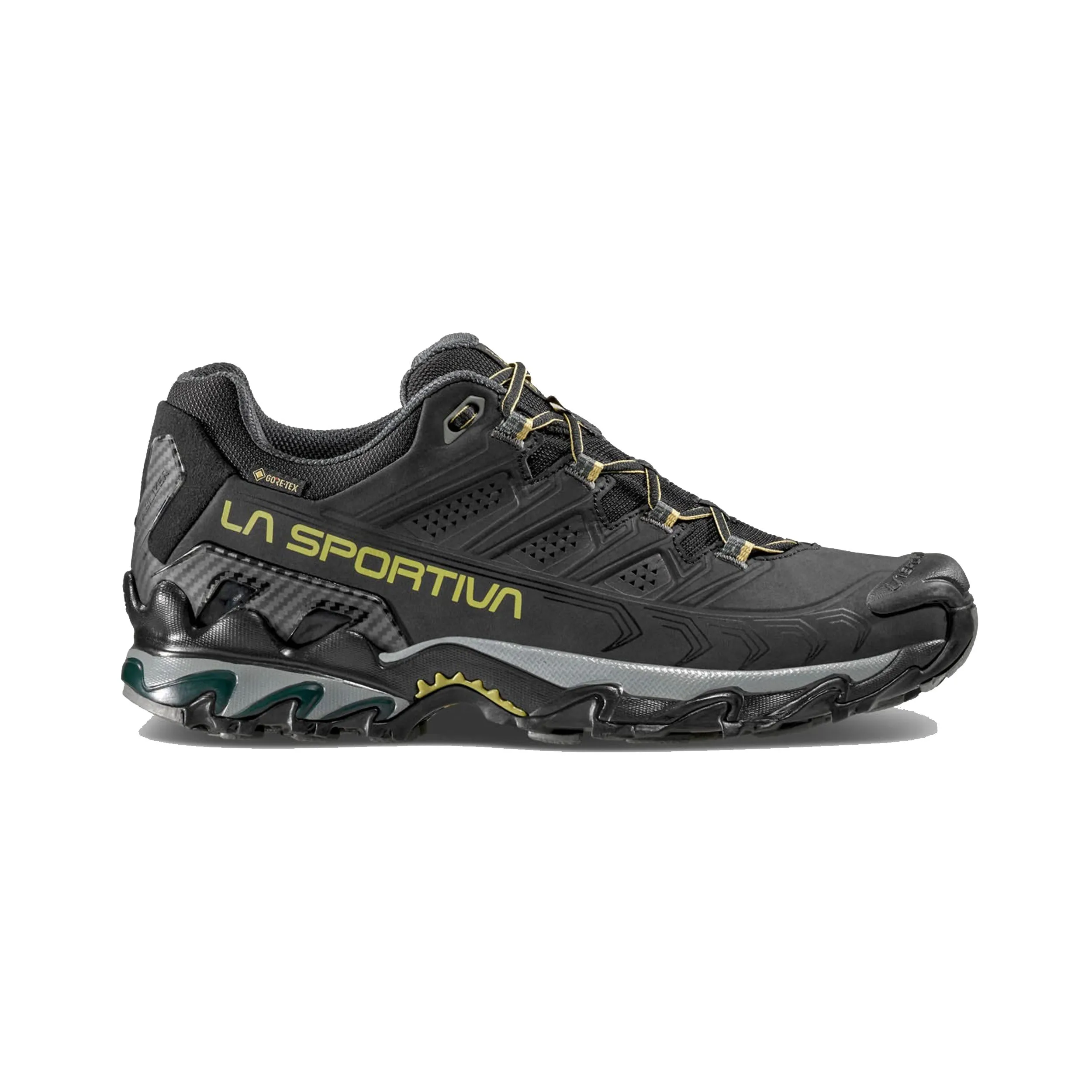 Men's Ultra Raptor II Leather GORE-TEX® Shoes