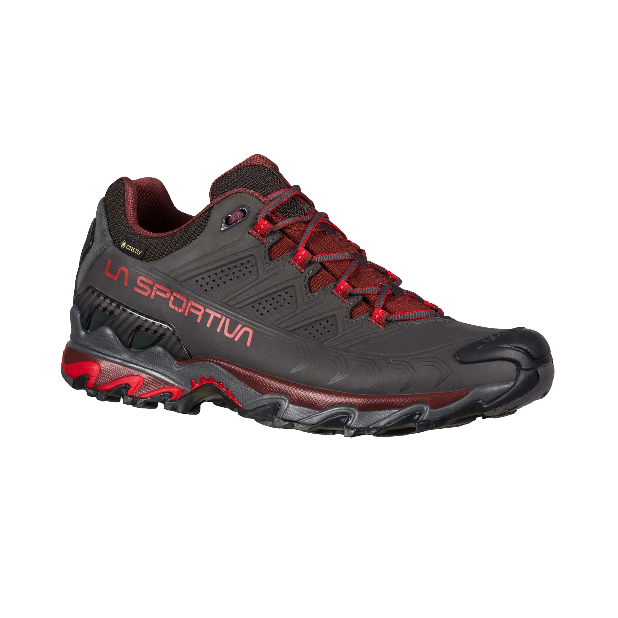Men's Ultra Raptor II Leather GORE-TEX® Shoes