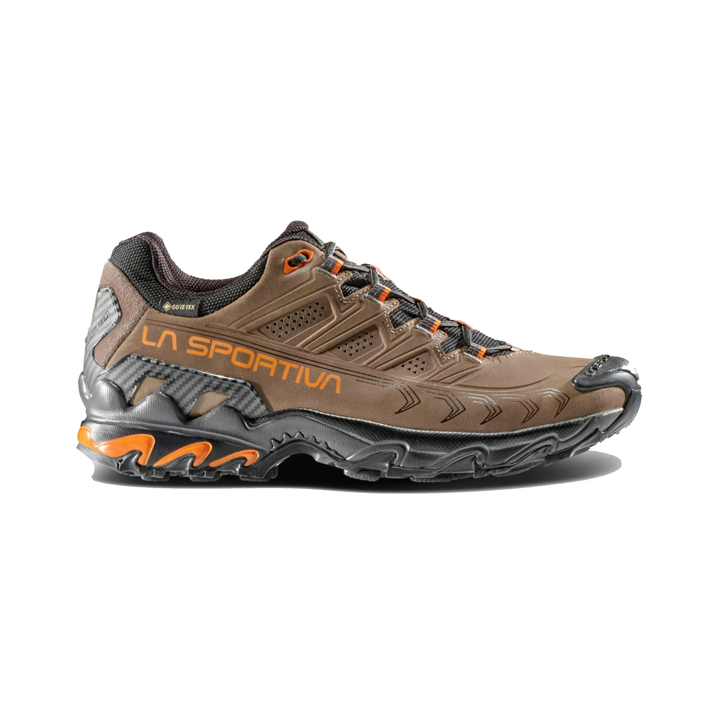 Men's Ultra Raptor II Leather GORE-TEX® Shoes