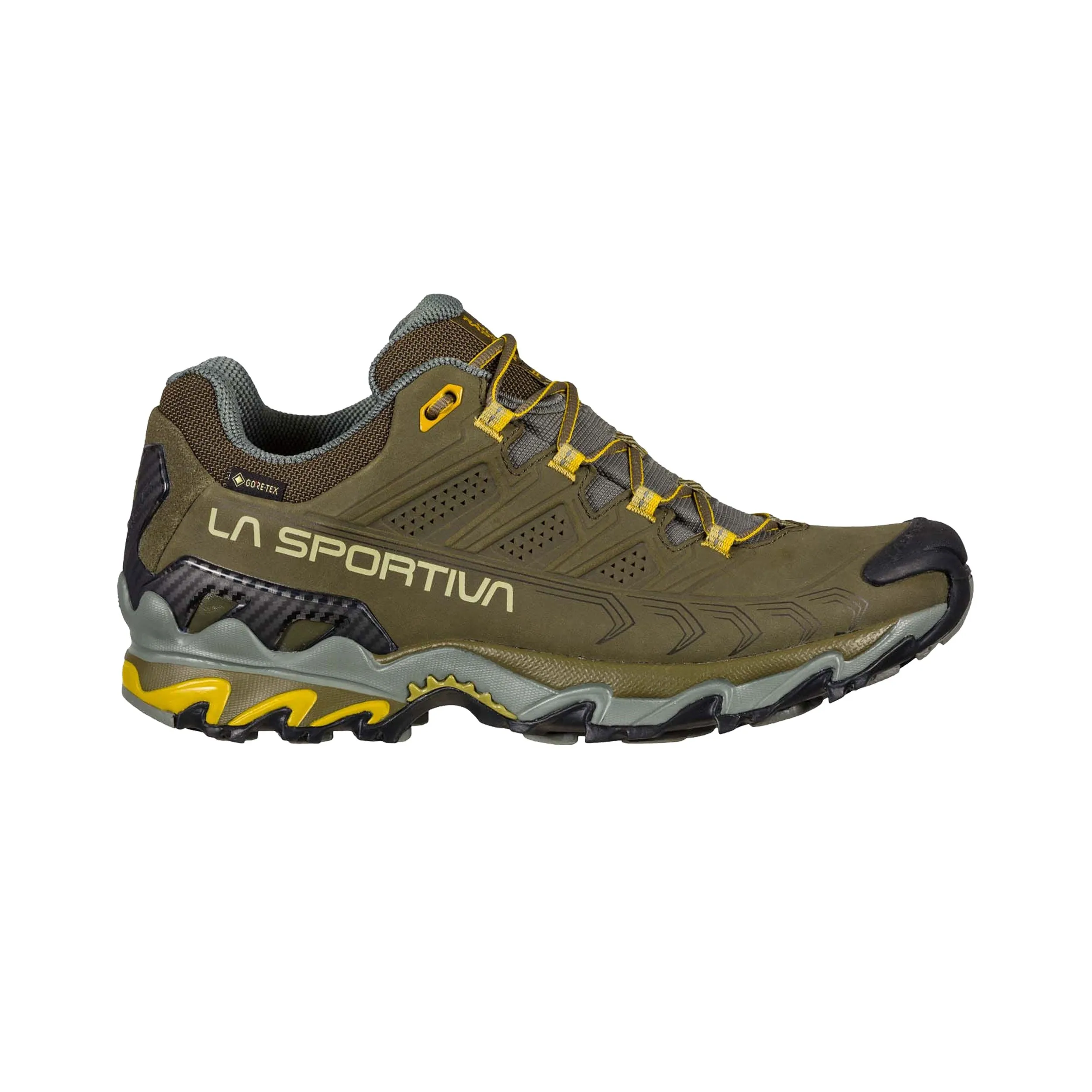 Men's Ultra Raptor II Leather GORE-TEX® Shoes