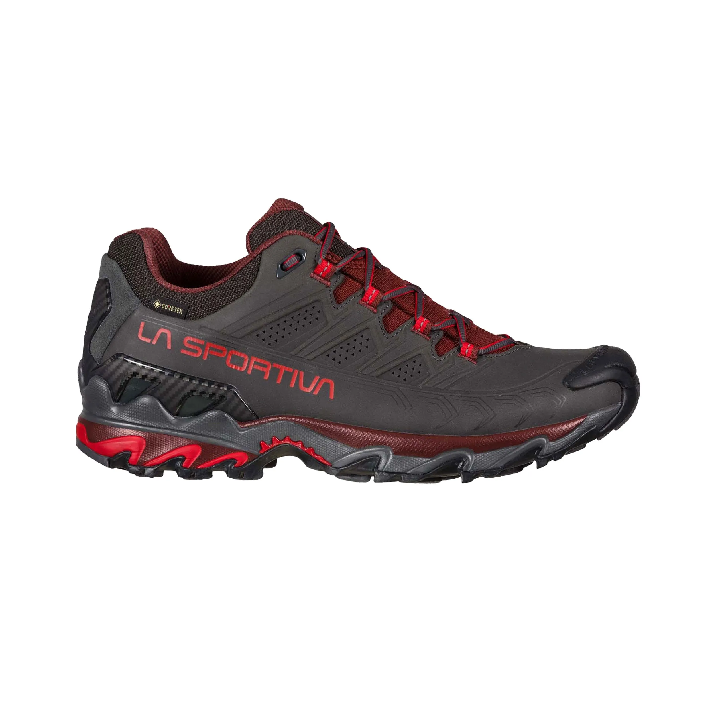 Men's Ultra Raptor II Leather GORE-TEX® Shoes