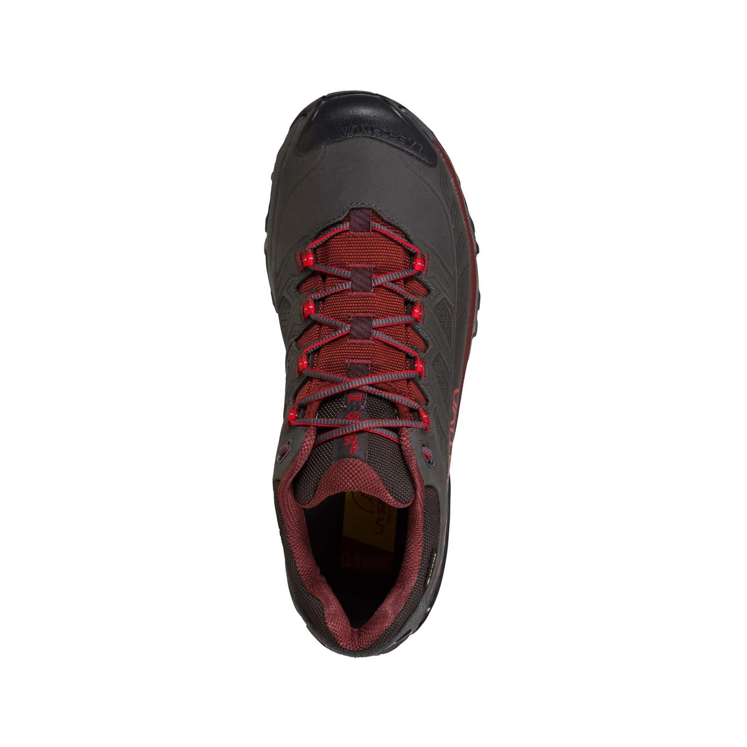 Men's Ultra Raptor II Leather GORE-TEX® Shoes