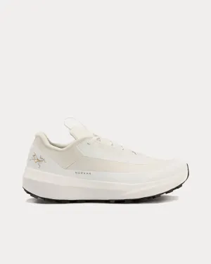 Norvan LD 4 GTX Arctic Silk / Arctic Silk Running Shoes