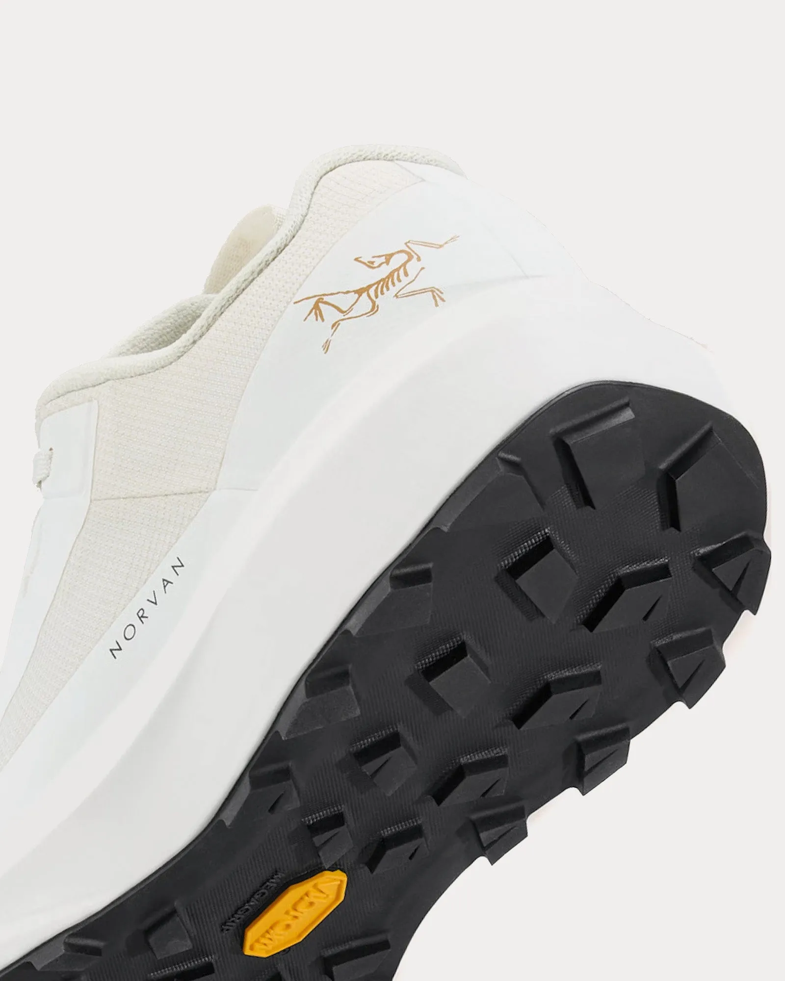 Norvan LD 4 GTX Arctic Silk / Arctic Silk Running Shoes