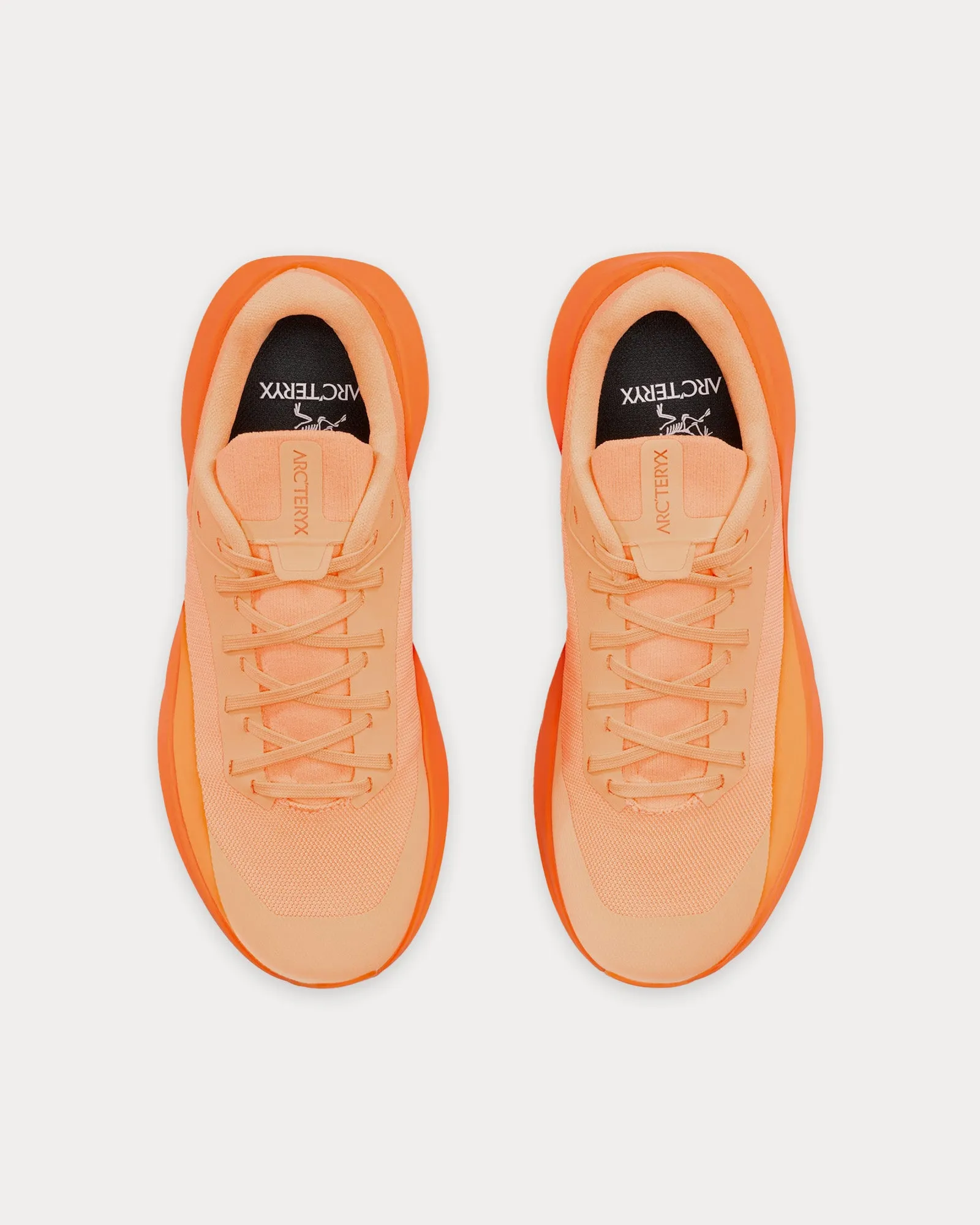 Norvan LD 4 Luminary / Verve Running Shoes