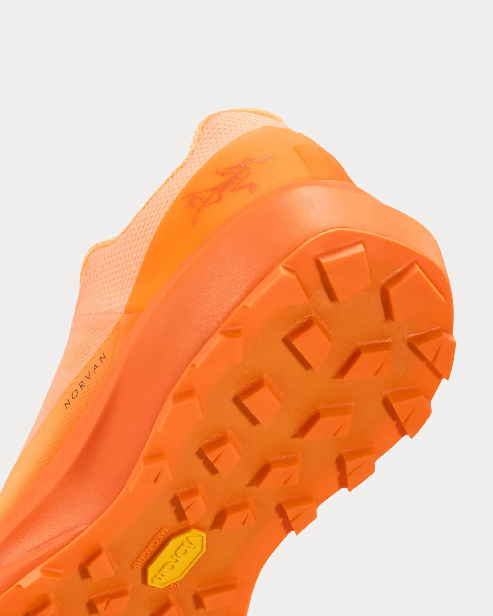 Norvan LD 4 Luminary / Verve Running Shoes