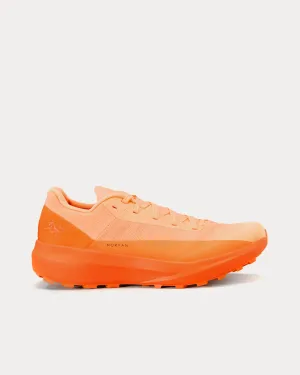 Norvan LD 4 Luminary / Verve Running Shoes