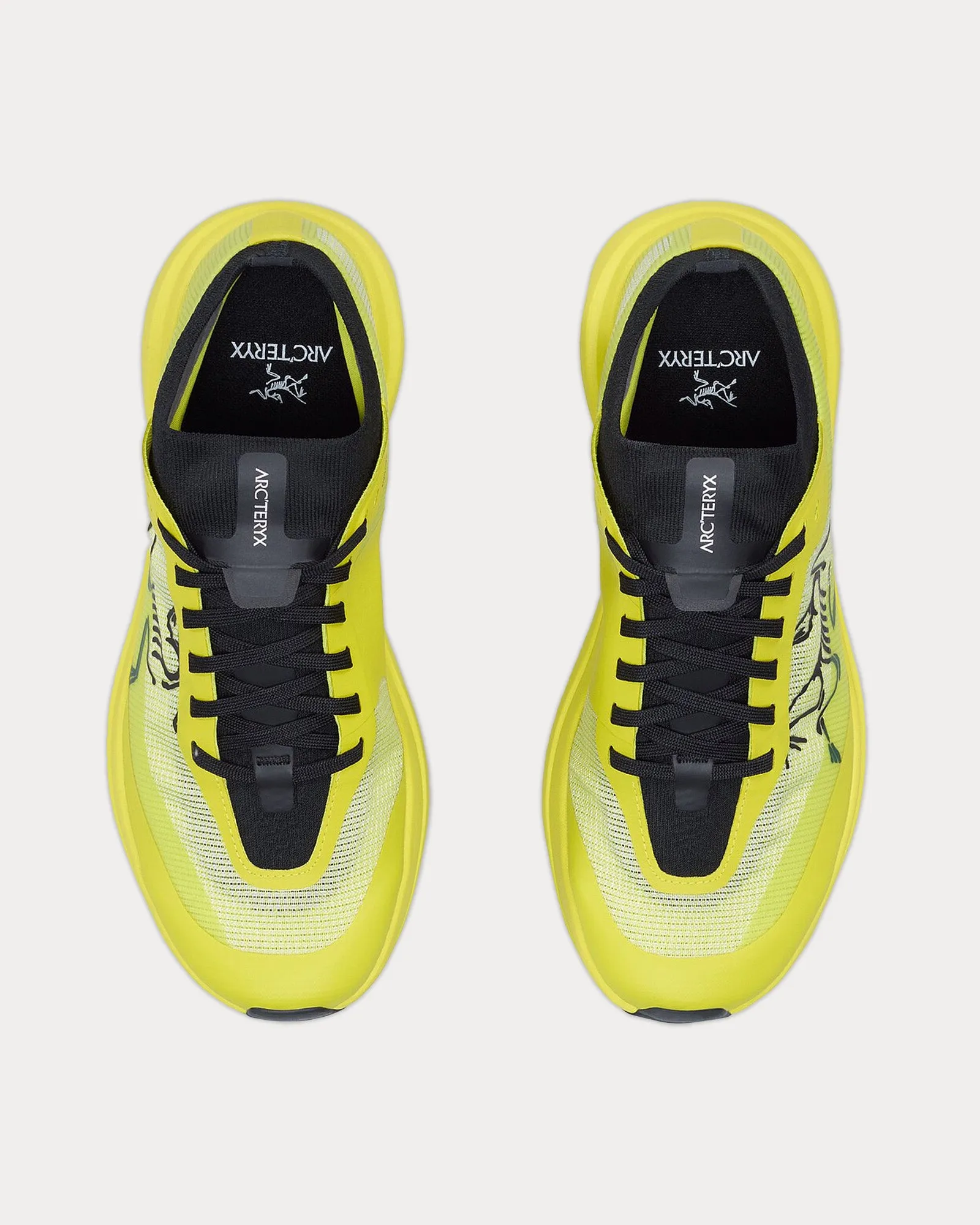 Sylan Pro Euphoria / Black Running Shoes